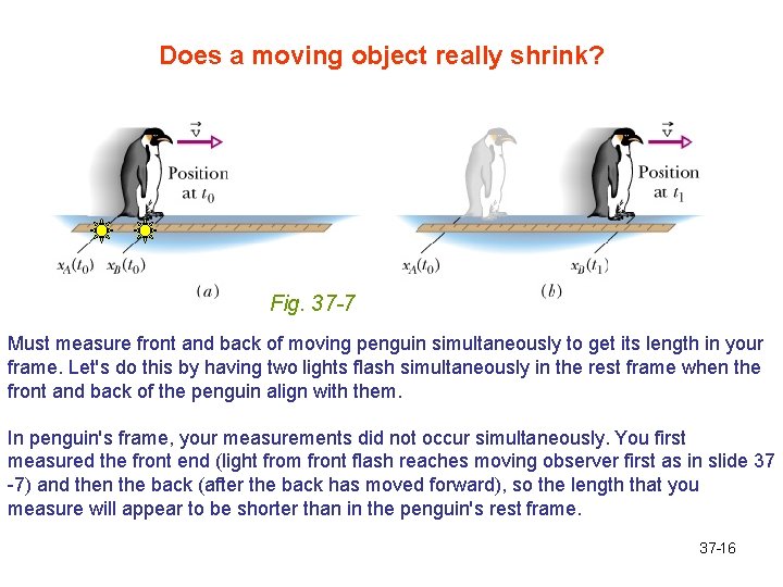 Does a moving object really shrink? Fig. 37 -7 Must measure front and back