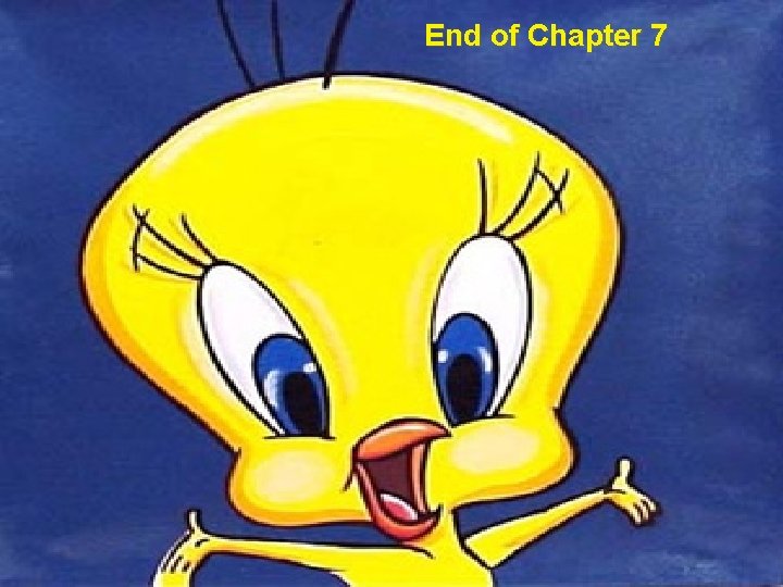 End of Chapter 7 