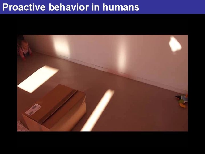 Proactive behavior in humans 