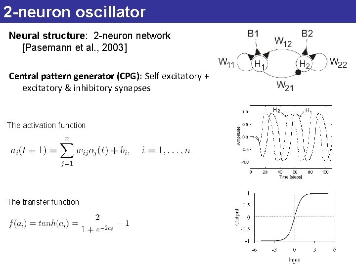 2 -neuron oscillator Neural structure: 2 -neuron network [Pasemann et al. , 2003] Central