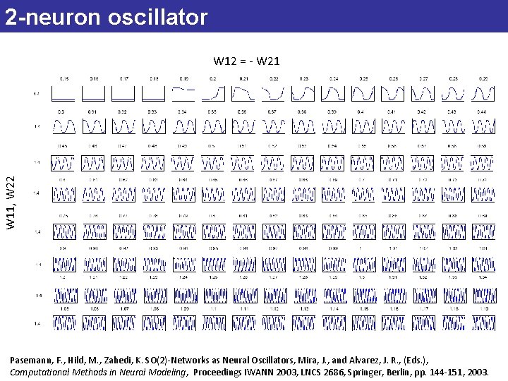 2 -neuron oscillator W 11, W 22 W 12 = - W 21 Pasemann,