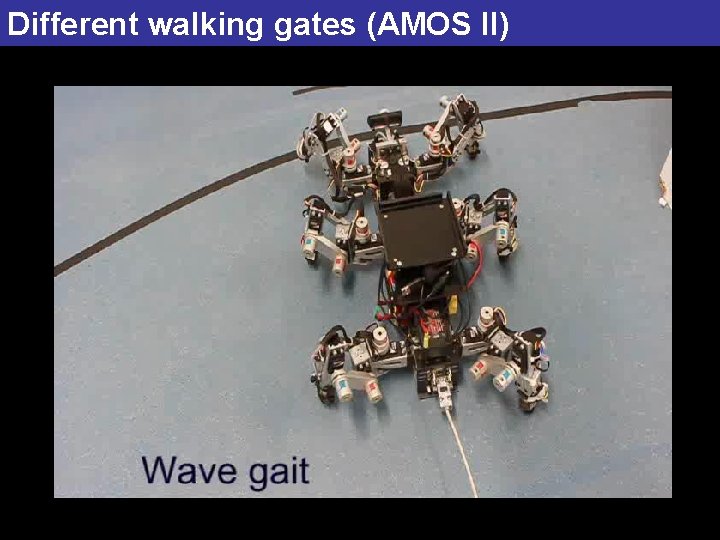 Different walking gates (AMOS II) 