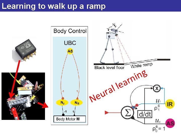 Learning to walk up a ramp Ne l a ur r a le g
