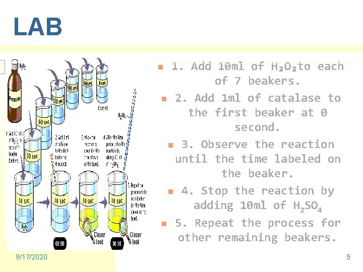 LAB n 1. Add 10 ml of H₂O₂to each of 7 beakers. n 2.