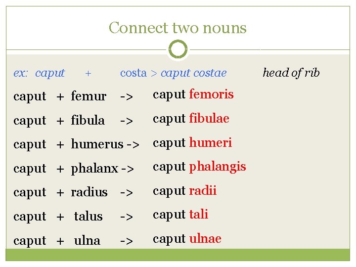 Connect two nouns ex: caput + costa > caput costae caput + femur ->