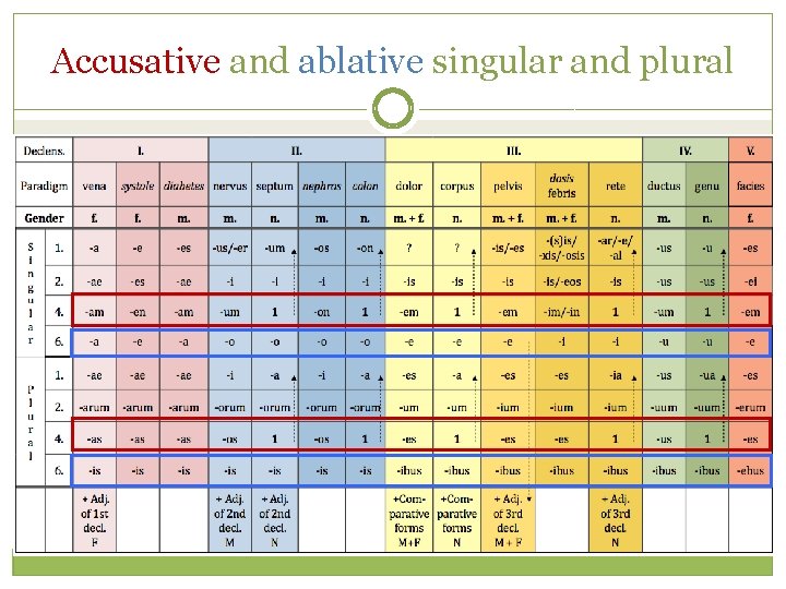 Accusative and ablative singular and plural 