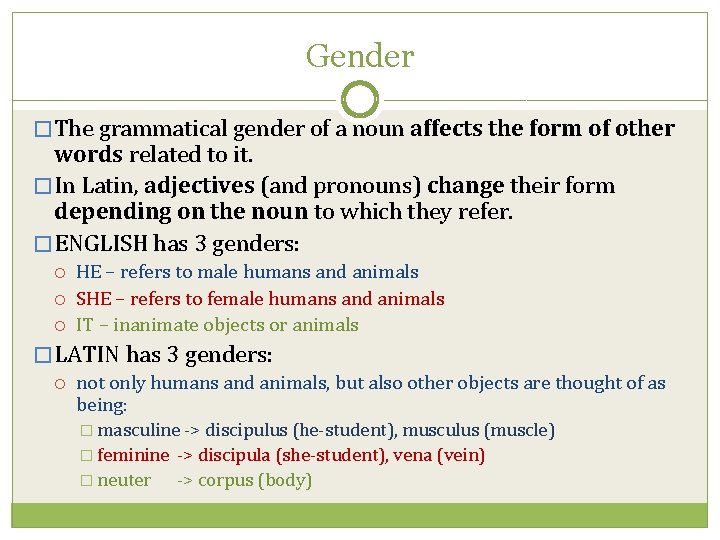 Gender � The grammatical gender of a noun affects the form of other words