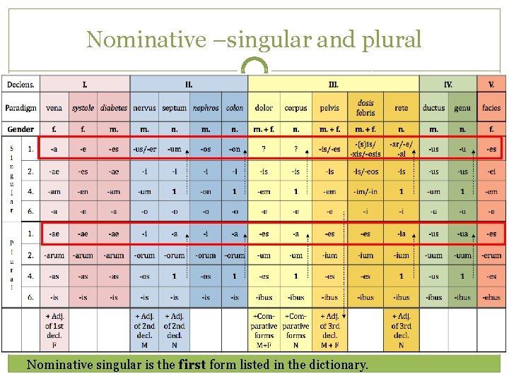 Nominative –singular and plural Nominative singular is the first form listed in the dictionary.