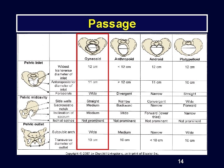 Passage 14 