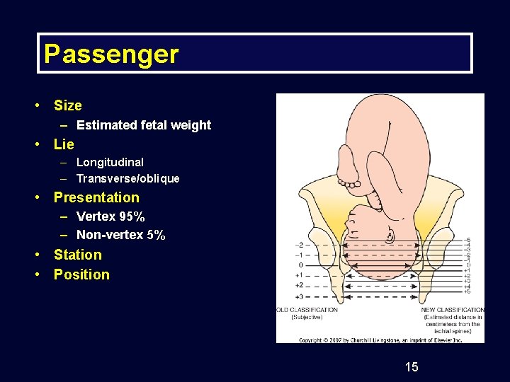 Passenger • Size – Estimated fetal weight • Lie – Longitudinal – Transverse/oblique •