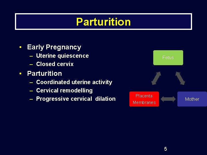 Parturition • Early Pregnancy – Uterine quiescence – Closed cervix Fetus • Parturition –