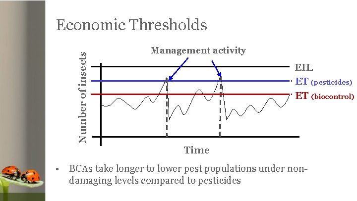 Number of insects Economic Thresholds Management activity EIL ET (pesticides) ET (biocontrol) Time •