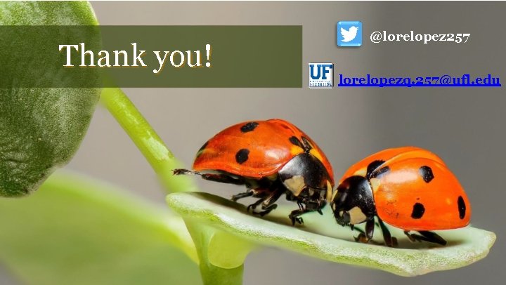 Thank you! @lorelopez 257 lorelopezq. 257@ufl. edu 