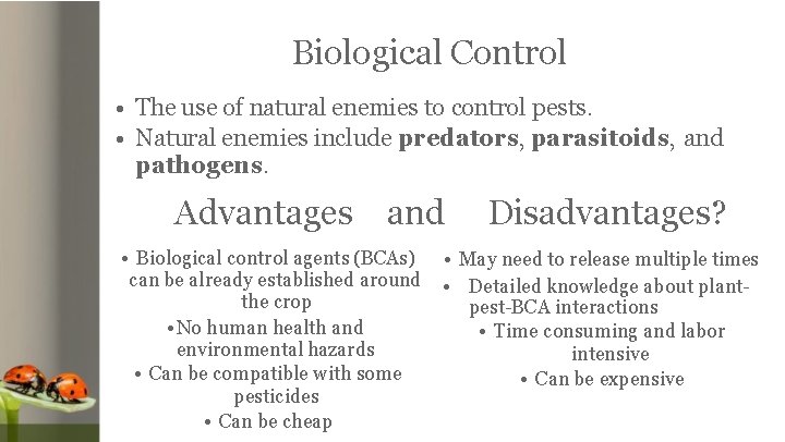 Biological Control • The use of natural enemies to control pests. • Natural enemies