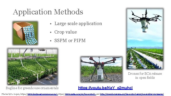 Application Methods • Large scale application • Crop value • SSPM or PIPM Drones