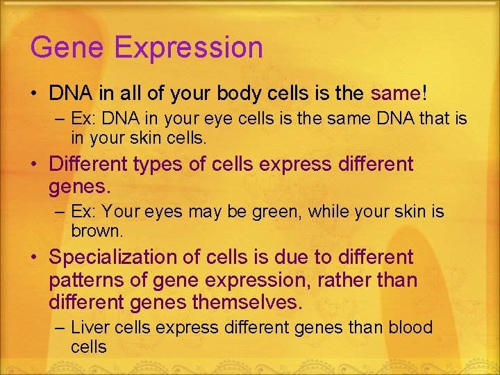Gene Expression • DNA in all of your body cells is the same! –