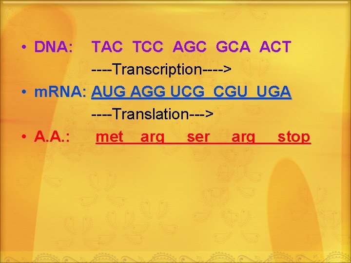  • DNA: • • TAC TCC AGC GCA ACT ----Transcription----> m. RNA: AUG