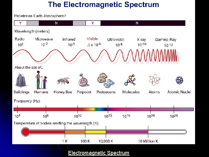 Electromagnetic Spectrum 
