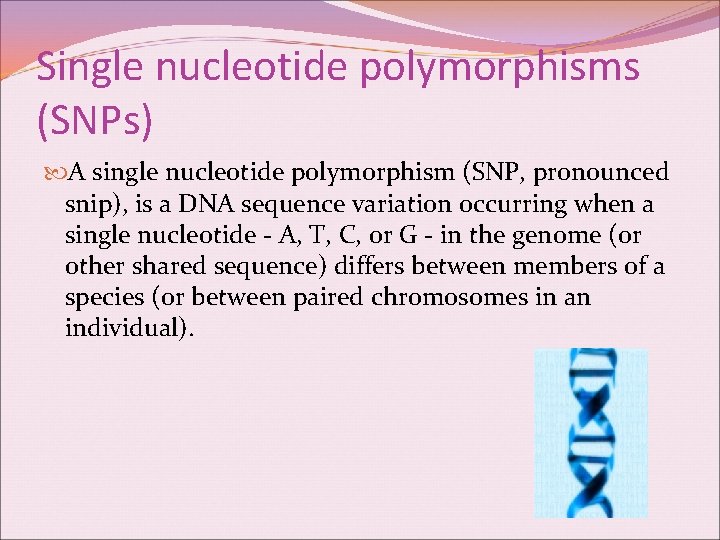 Single nucleotide polymorphisms (SNPs) A single nucleotide polymorphism (SNP, pronounced snip), is a DNA