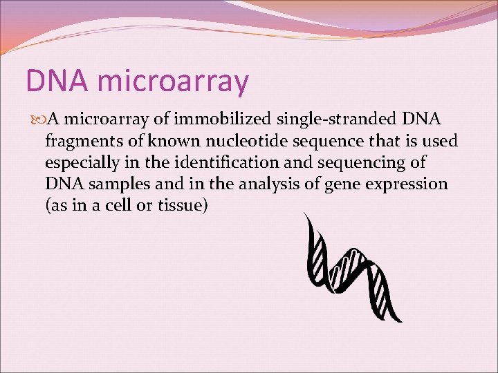 DNA microarray of immobilized single-stranded DNA fragments of known nucleotide sequence that is used