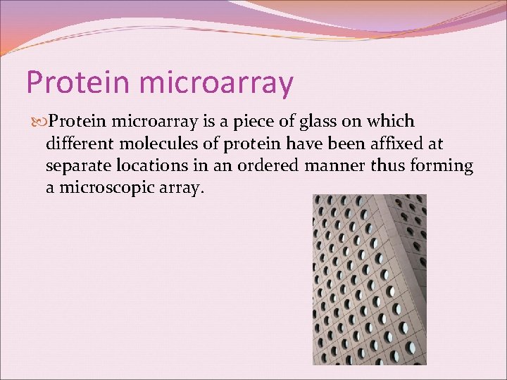 Protein microarray is a piece of glass on which different molecules of protein have