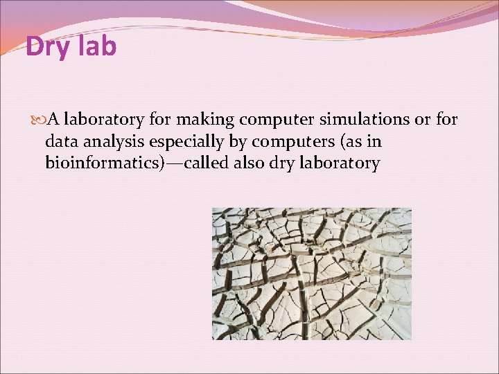 Dry lab A laboratory for making computer simulations or for data analysis especially by