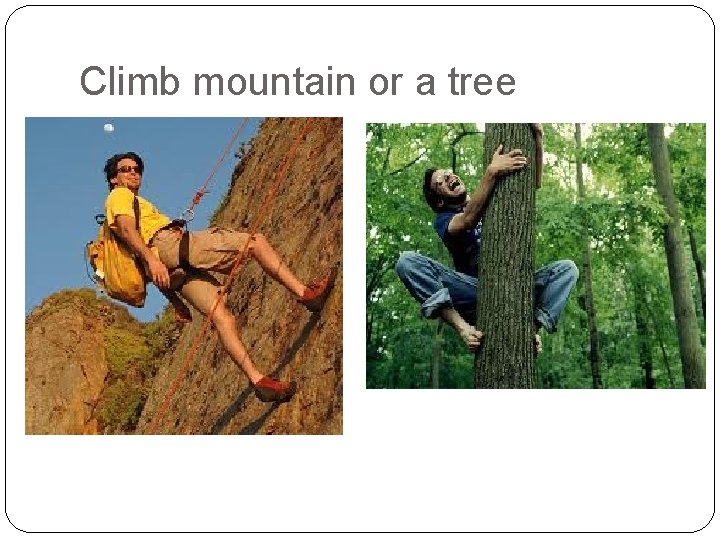 Climb mountain or a tree 