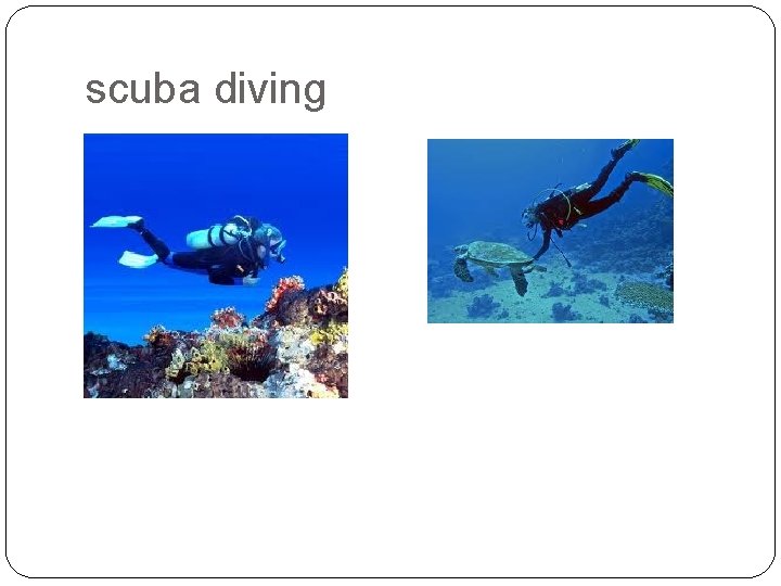 scuba diving 