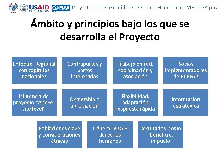 Proyecto de Sostenibilidad y Derechos Humanos en VIH/SIDA para C Ámbito y principios bajo