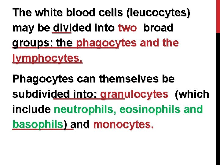 The white blood cells (leucocytes) may be divided into two broad groups: the phagocytes