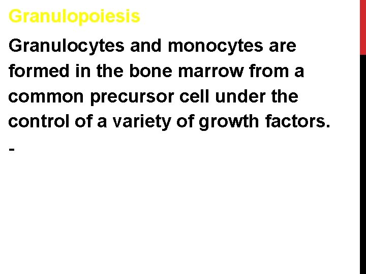 Granulopoiesis Granulocytes and monocytes are formed in the bone marrow from a common precursor