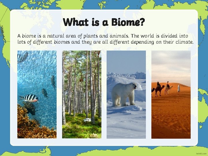 What is a Biome? A biome is a natural area of plants and animals.