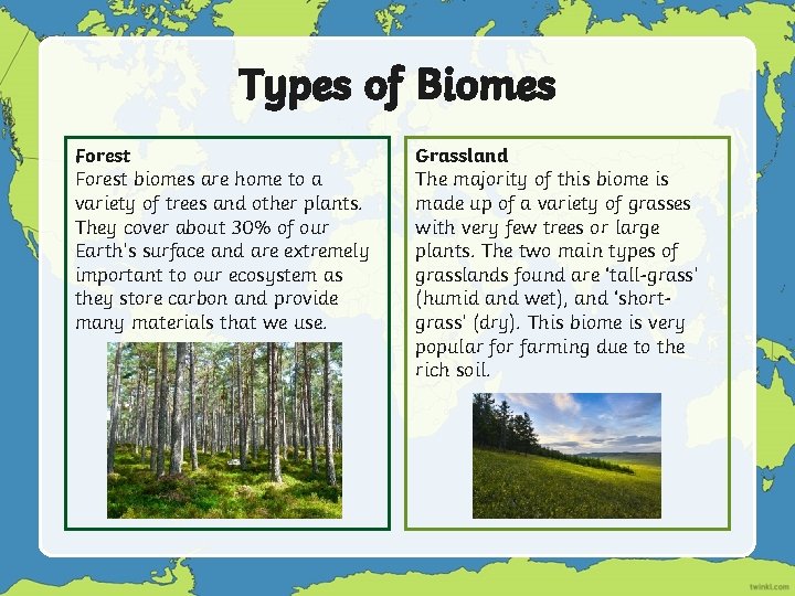 Types of Biomes Forest biomes are home to a variety of trees and other