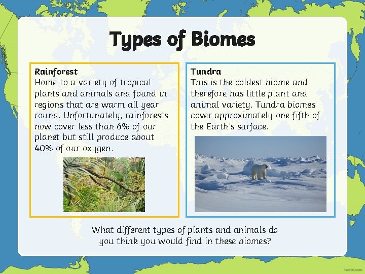 Types of Biomes Rainforest Home to a variety of tropical plants and animals and