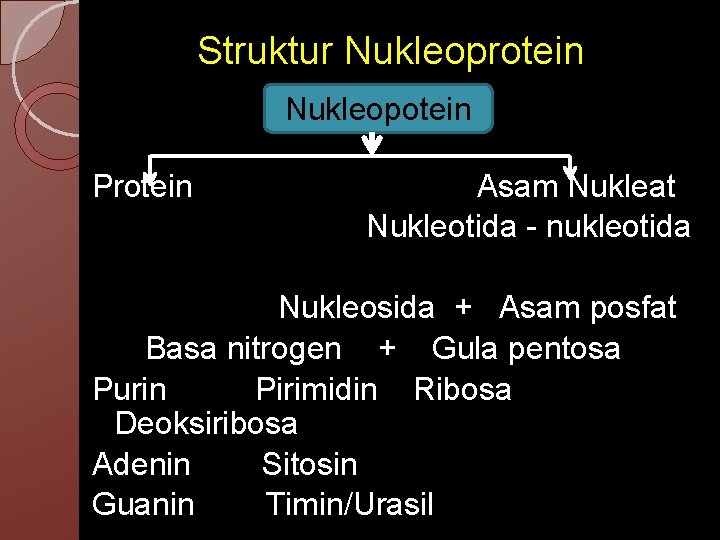 Struktur Nukleoprotein Nukleopotein Protein Asam Nukleat Nukleotida - nukleotida Nukleosida + Asam posfat Basa