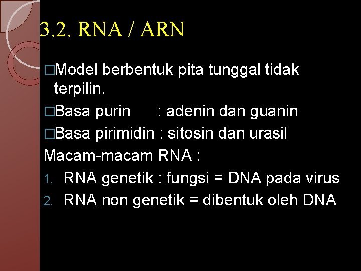 3. 2. RNA / ARN �Model berbentuk pita tunggal tidak terpilin. �Basa purin :