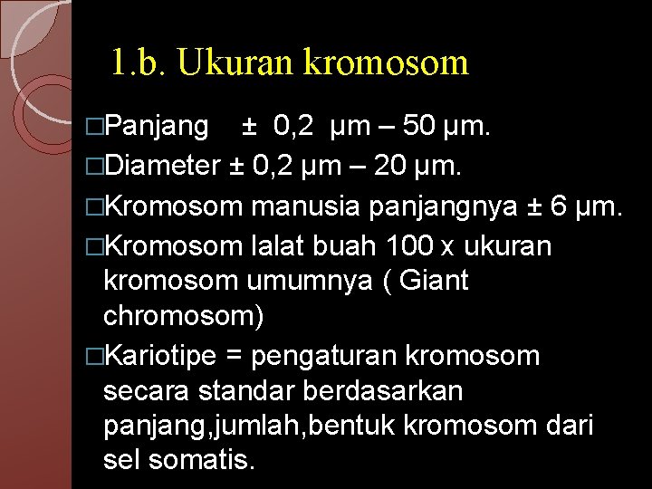1. b. Ukuran kromosom �Panjang ± 0, 2 µm – 50 µm. �Diameter ±