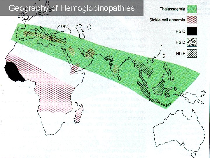 Geography of Hemoglobinopathies 