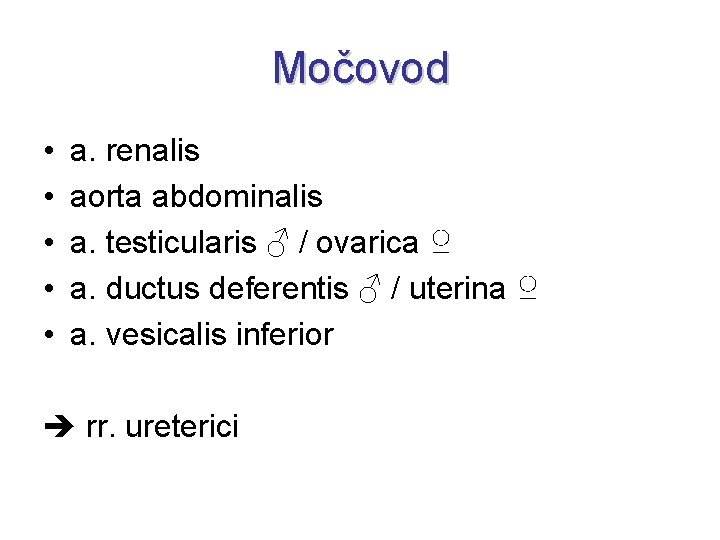 Močovod • • • a. renalis aorta abdominalis a. testicularis ♂ / ovarica ♀