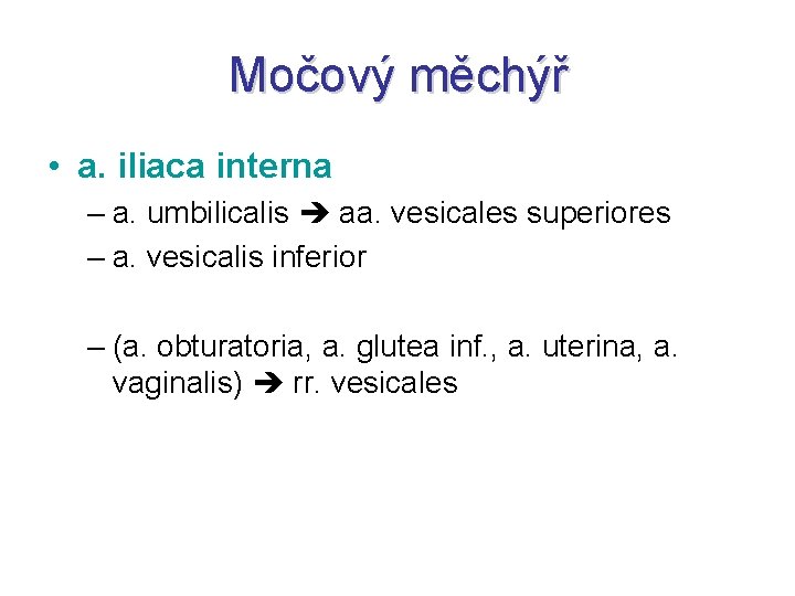 Močový měchýř • a. iliaca interna – a. umbilicalis aa. vesicales superiores – a.