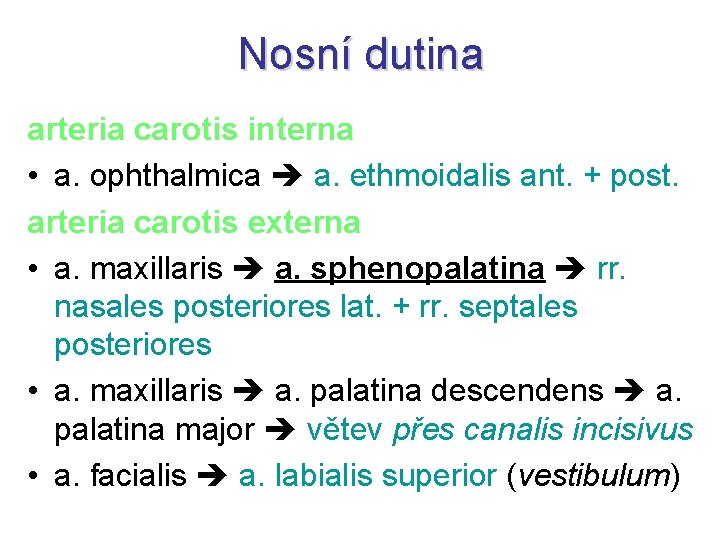 Nosní dutina arteria carotis interna • a. ophthalmica a. ethmoidalis ant. + post. arteria
