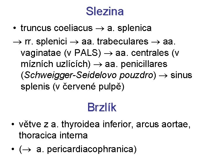 Slezina • truncus coeliacus a. splenica rr. splenici aa. trabeculares aa. vaginatae (v PALS)