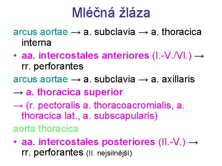 Mléčná žláza arcus aortae → a. subclavia → a. thoracica interna • aa. intercostales