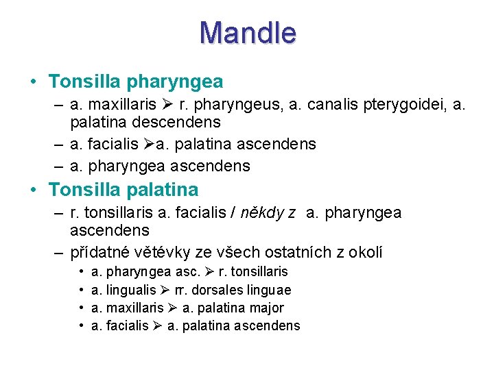 Mandle • Tonsilla pharyngea – a. maxillaris r. pharyngeus, a. canalis pterygoidei, a. palatina