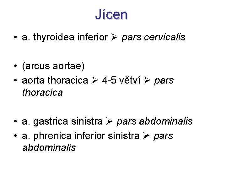 Jícen • a. thyroidea inferior pars cervicalis • (arcus aortae) • aorta thoracica 4