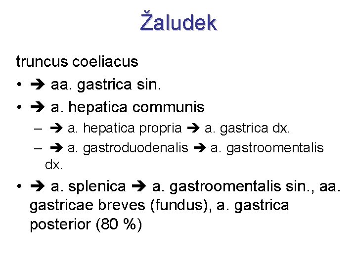 Žaludek truncus coeliacus • aa. gastrica sin. • a. hepatica communis – a. hepatica