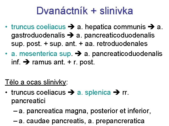 Dvanáctník + slinivka • truncus coeliacus a. hepatica communis a. gastroduodenalis a. pancreaticoduodenalis sup.