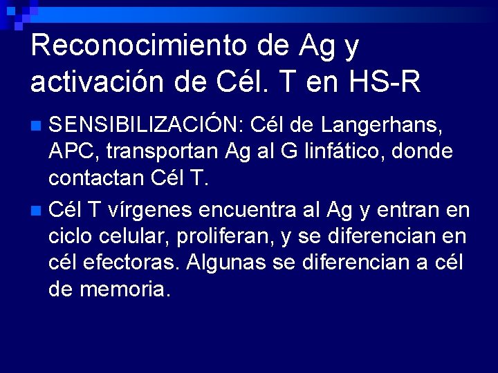 Reconocimiento de Ag y activación de Cél. T en HS-R SENSIBILIZACIÓN: Cél de Langerhans,