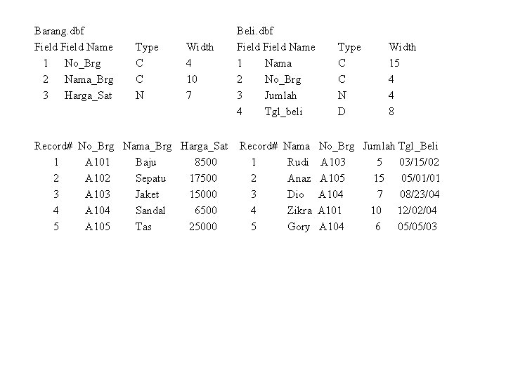 Barang. dbf Field Name 1 No_Brg 2 Nama_Brg 3 Harga_Sat Type C C N Barang. dbf Field Name 1 No_Brg 2 Nama_Brg 3 Harga_Sat Type C C N