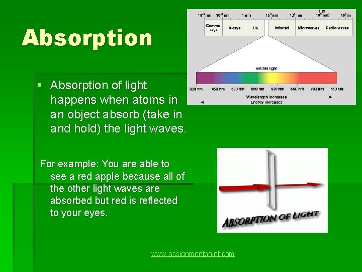 Absorption § Absorption of light happens when atoms in an object absorb (take in